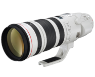 Canon EF 200-400mm f/4L IS USM Extender 1.4x ON